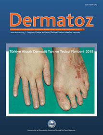 Cilt 1, Sayı 3 - Eylül 2010